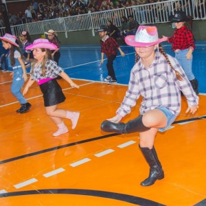 FESTA JUNINA - É O ARRAIÁ DO SANTÃO 2024