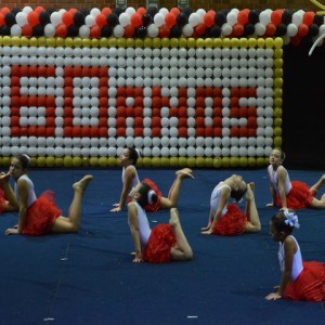 FESTIVAL DE GINÁSTICA 2017