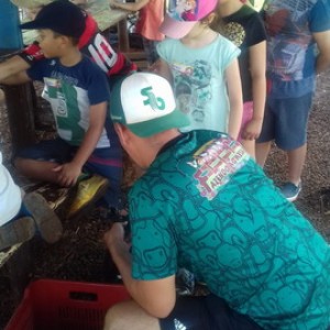 FAZENDO FAZENDA 2º ANO -  2018