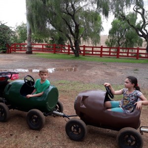 FAZENDO FAZENDA 2º ANO -  2018