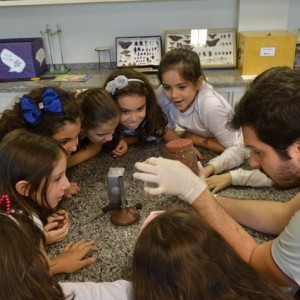 AULA NO LABORATÓRIO SOBRE ANIMAIS VERTEBRADOS E INVERTEBRADOS