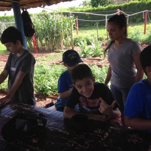 FAZENDO FAZENDA 4º ANO -  2018