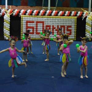 FESTIVAL DE GINÁSTICA 2017