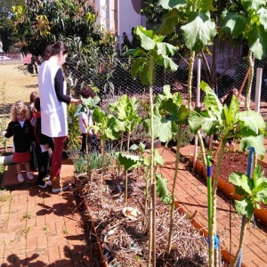 VISITA AO LABORATÓRIO: EXPLORANDO BICHINHOS DE JARDIM