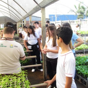 MISSÃO SOLIDÁRIA  2017