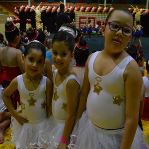 FESTIVAL DE GINÁSTICA 2017