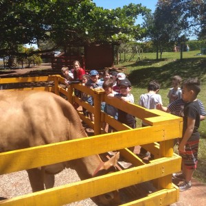 CSI - PASSEIO FAZENDO FAZENDA 2022