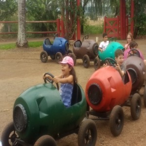 FAZENDO FAZENDA 2017