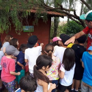 FAZENDO FAZENDA 2º ANO -  2018