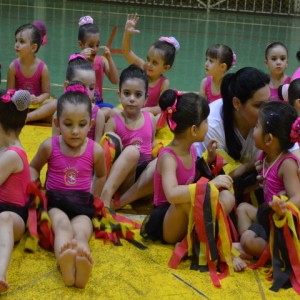 FESTIVAL DE GINÁSTICA 2017