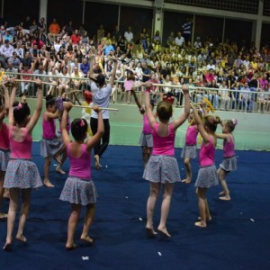 FESTIVAL DE GINÁSTICA 2017