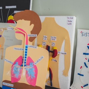 EXPOSIÇÃO DOS TRABALHOS DE CIÊNCIAS - 6º ANOS