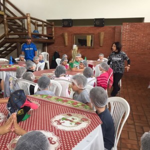 FAZENDO FAZENDA 2017