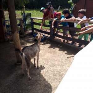 FAZENDO FAZENDA 2º ANO -  2018