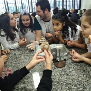 VISITA AO LABORATÓRIO DE CIÊNCIAS