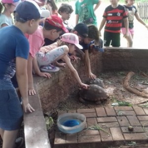 FAZENDO FAZENDA 2º ANO -  2018