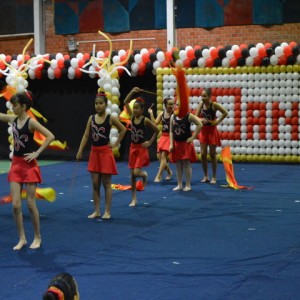 FESTIVAL DE GINÁSTICA 2017