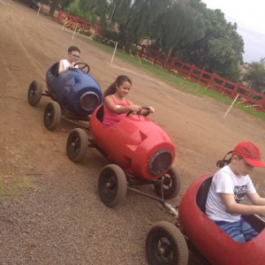 FAZENDO FAZENDA 3º ANO -  2018