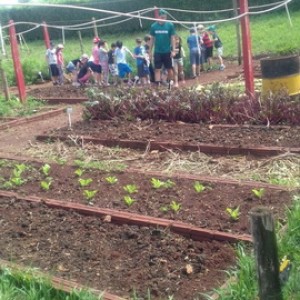 FAZENDO FAZENDA 2º ANO -  2018