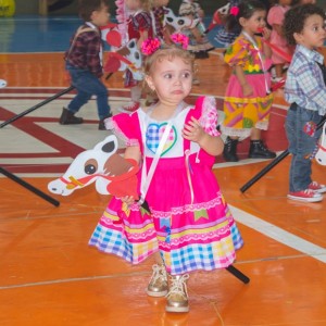 FESTA JUNINA - É O ARRAIÁ DO SANTÃO 2024