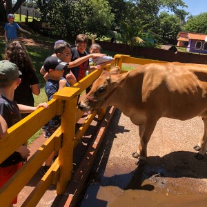 CSI - PASSEIO FAZENDO FAZENDA 2022