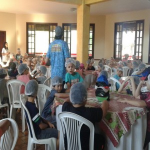 FAZENDO FAZENDA 2017