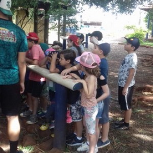 FAZENDO FAZENDA 2º ANO -  2018