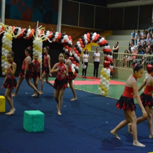 FESTIVAL DE GINÁSTICA 2017