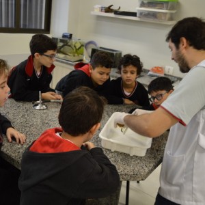 AULA NO LABORATÓRIO SOBRE ANIMAIS VERTEBRADOS E INVERTEBRADOS