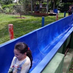 FAZENDO FAZENDA 2º ANO -  2018