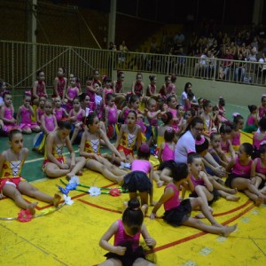 FESTIVAL DE GINÁSTICA 2017