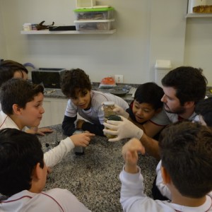 AULA NO LABORATÓRIO SOBRE ANIMAIS VERTEBRADOS E INVERTEBRADOS