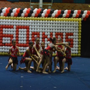 FESTIVAL DE GINÁSTICA 2017