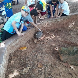 FAZENDO FAZENDA 1º ANO -  2018