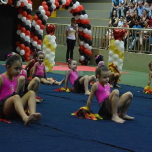 FESTIVAL DE GINÁSTICA 2017