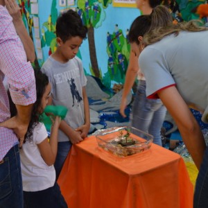 MOSTRA DE TRABALHOS - INFANTIL IV