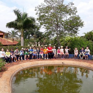 FAZENDO FAZENDA 1º ANO -  2018