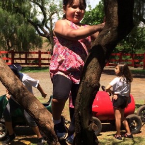 FAZENDO FAZENDA 5º ANO -  2018