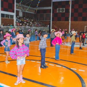 FESTA JUNINA - É O ARRAIÁ DO SANTÃO 2024