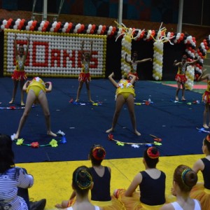 FESTIVAL DE GINÁSTICA 2017