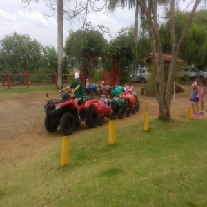 FAZENDO FAZENDA 2017