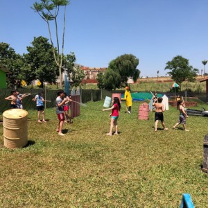 FAZENDO FAZENDA 2017