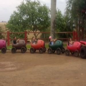 FAZENDO FAZENDA 2017