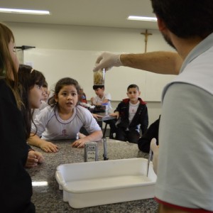 AULA NO LABORATÓRIO SOBRE ANIMAIS VERTEBRADOS E INVERTEBRADOS