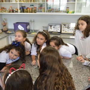 AULA NO LABORATÓRIO SOBRE ANIMAIS VERTEBRADOS E INVERTEBRADOS