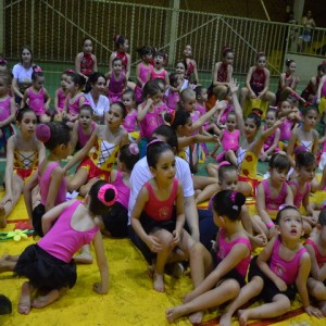 FESTIVAL DE GINÁSTICA 2017