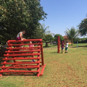 FAZENDO FAZENDA 2017