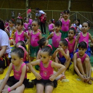 FESTIVAL DE GINÁSTICA 2017