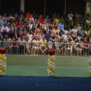 FESTIVAL DE GINÁSTICA 2017