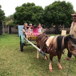 FAZENDO FAZENDA 2017